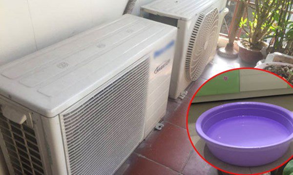 Đặt một chậu nước trong phòng điều hòa, nhà nào cũng làm nhưng ai ngờ sai bét-3