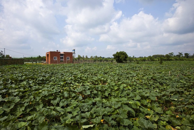 Nhà vườn rộng 90m2 ở Đồng Nai gây sốt” vì xây dựng chỉ 500 triệu đồng-3