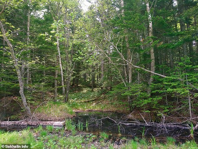 Cãi nhau với bố mẹ, bé gái 8 tuổi bỏ nhà đi rồi bị hãm hiếp và giết chết, bức ảnh khoảnh khắc cuối cùng của cô bé gây xót xa-6