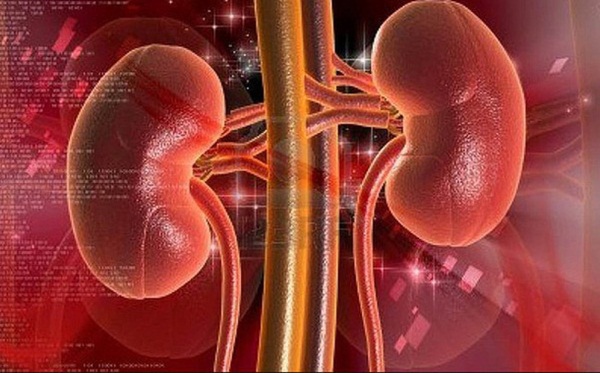 Có 5 món ăn màu trắng là thần dược dành riêng cho thận, nếu biết tận dụng thì còn tốt hơn trăm viên thuốc bổ-1