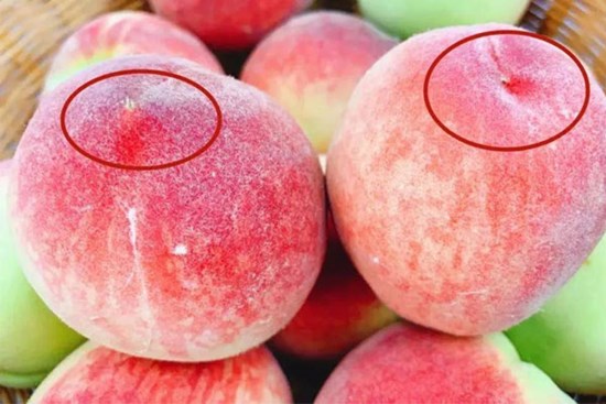 Giờ mới biết, mua đào cũng phải phân biệt quả đực hay cái, nhiều người mua nhầm nên bị chua