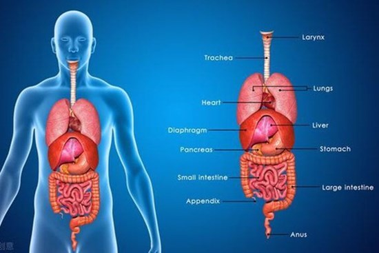 Bất thường xuất hiện trên cơ thể cho thấy các cơ quan nội tạng quá 