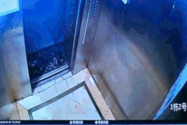 Người đàn ông Trung Quốc vô tư đổ rác vào thang máy của chung cư