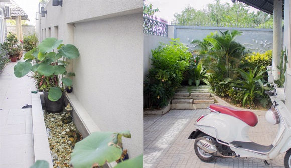 Từng thay 30 chiếc xe hơi, Kim Tử Long giờ cưới vợ trẻ, ở biệt phủ triệu đô-7