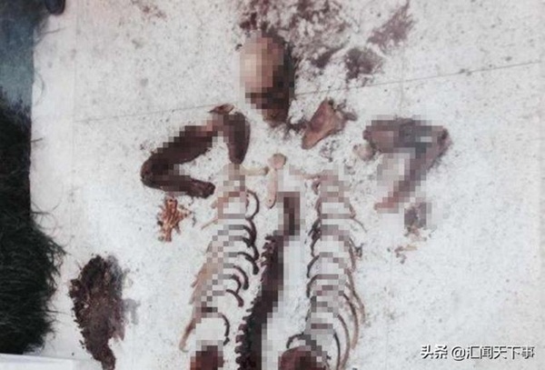 Vụ án Bộ xương trên gác mái: Con trai mất tích 10 năm, gia đình chờ đợi vô vọng, cuối cùng phát hiện bộ xương ở nhà bạn gái cũ-1