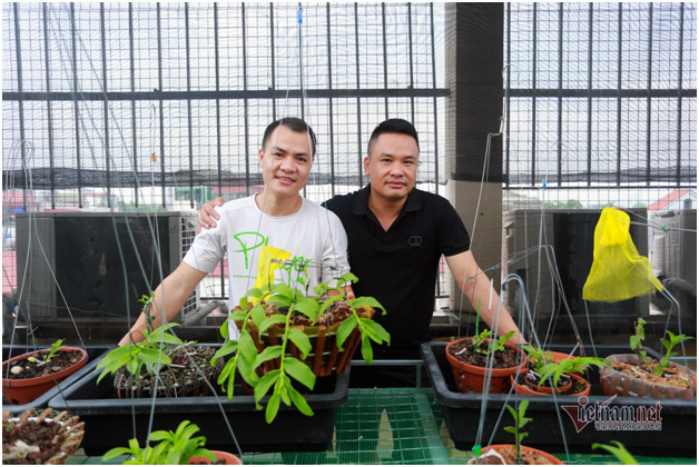 Liều bỏ 400 triệu chơi lan, đôi bạn thân Hà Nội có gia tài chục tỷ-1