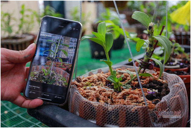 Liều bỏ 400 triệu chơi lan, đôi bạn thân Hà Nội có gia tài chục tỷ-3