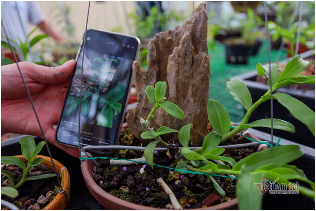 Liều bỏ 400 triệu chơi lan, đôi bạn thân Hà Nội có gia tài chục tỷ-5