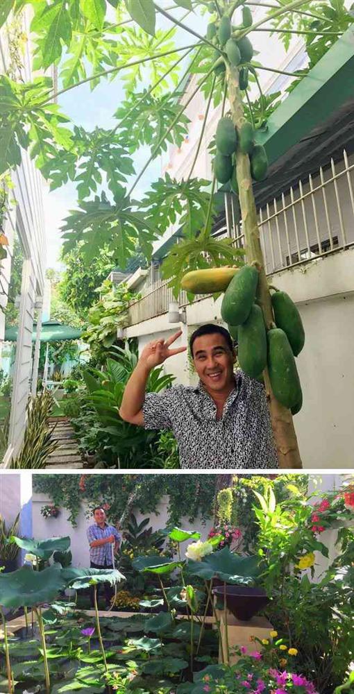 Sân vườn trong biệt thự bạc tỷ của 3 nam diễn viên nổi tiếng, ai nhìn cũng phải ngưỡng mộ-20