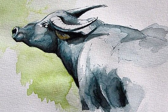 Tử vi 12 con giáp (13/07 - 19/07): Tuổi Tý, Thân, Tuất tài lộc ùn ùn đổ về; tuổi Sửu, Dần cẩn thận tiêu hao tiền bạc