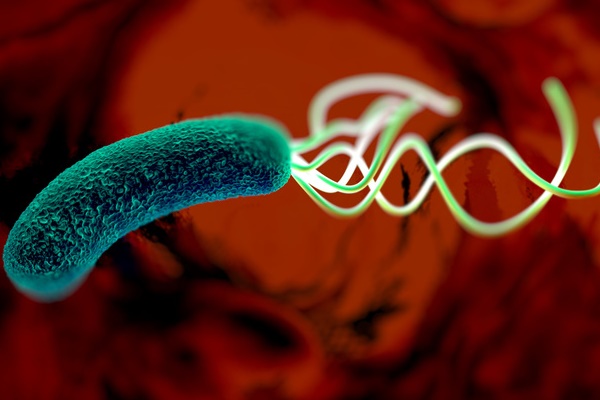 Giám đốc BV K chỉ ra 80% nguyên nhân ung thư ở Việt Nam-3