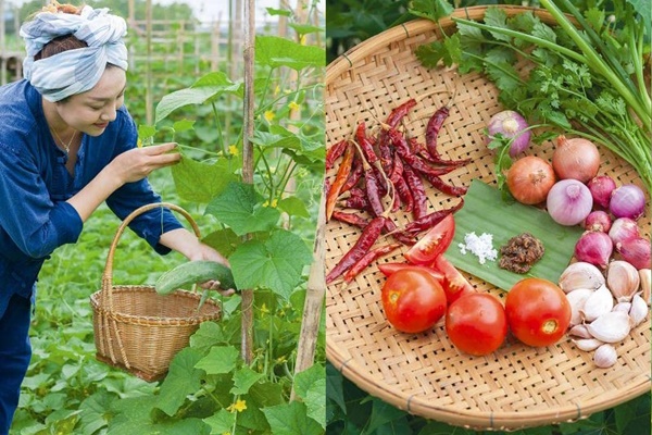 Ngắm khu vườn đủ loại rau quả rộng hơn 100m² trên mái nhà với 100 triệu đồng đầu tư thiết kế của gia đình ở Hà Nội-19