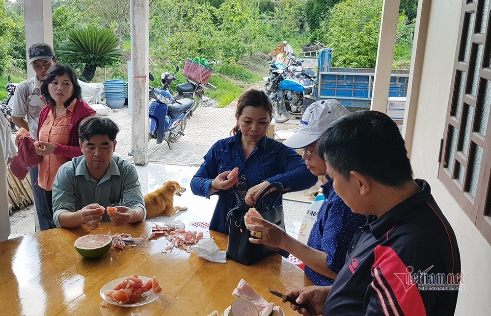 Miền Tây xuất hiện bưởi lạ: Chưa được phép nhưng ai thích cứ trồng-10