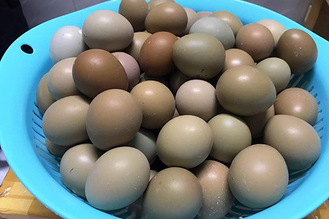 Độc đáo loại trứng xanh đỏ chỉ để tiến vua, nay được rao bán đắt gấp 15 lần trứng gà-3