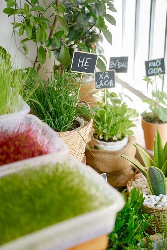 Thêm ảnh bên trong căn hộ cao cấp bạc tỷ của Thỏ trắng Jun Phạm-9