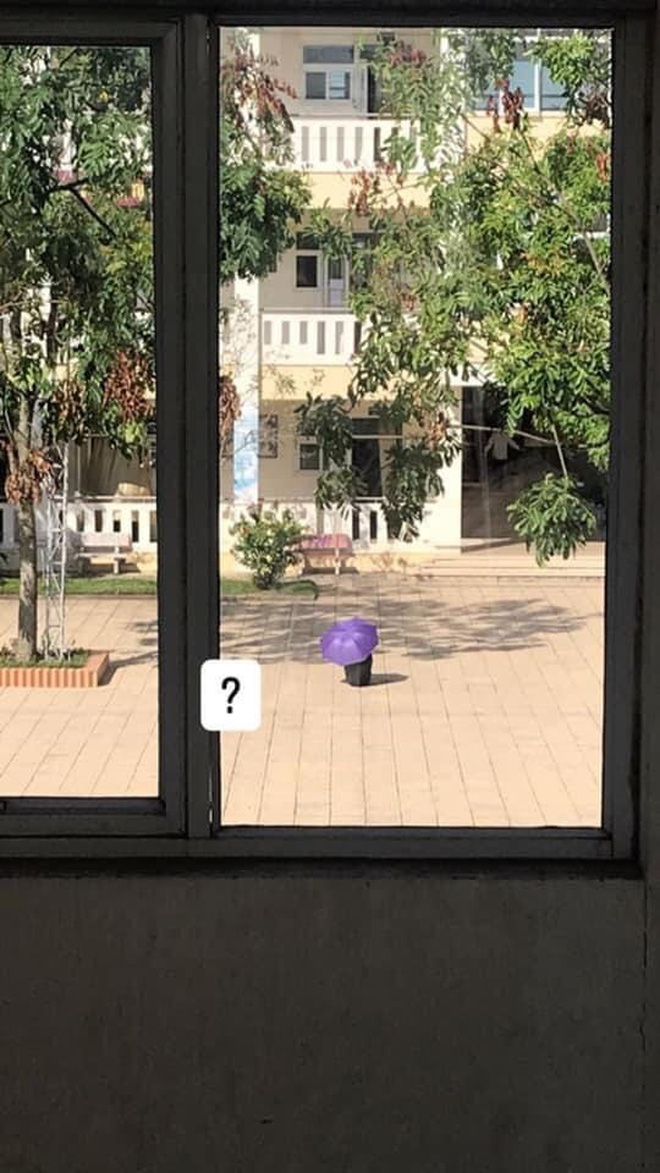 Nữ sinh được học sinh giỏi nhưng lại nằm vật vã giữa sân trường, ai ngờ chỉ vì lỡ mồm thề với đám bạn quỷ yêu-3