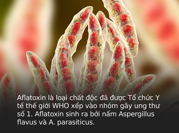 Chỉ 1mg đã đủ gây ung thư, 20mg gây chết người, loại chất độc này thường dễ có mặt ở 5 loại thực phẩm quen thuộc trong nhà bếp và cách phòng tránh đúng nhất-1
