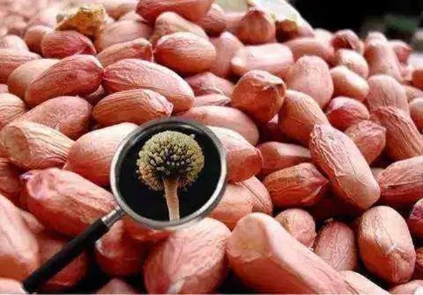 Chỉ 1mg đã đủ gây ung thư, 20mg gây chết người, loại chất độc này thường dễ có mặt ở 5 loại thực phẩm quen thuộc trong nhà bếp và cách phòng tránh đúng nhất-4