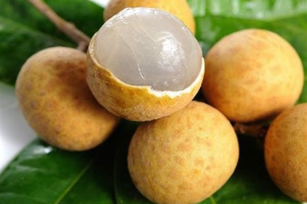 Hấp cua đặt nằm úp hay ngửa để chín đều, thịt ngon ngọt nhất: 99% chị em không biết-2