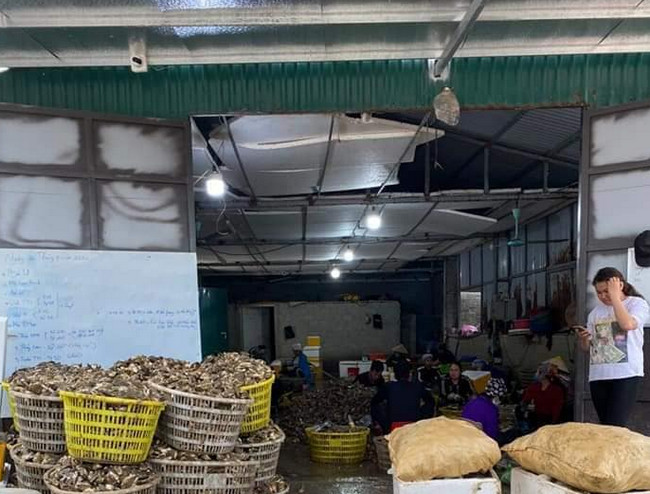 Hàu sữa Vân Đồn giá rẻ chưa từng có, dân mạng thi nhau giải cứu-2