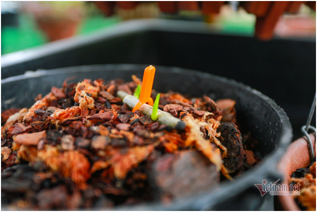 Tận mắt 4 mầm lan như cọng rau rao tiền tỷ của 2 đại gia Hà Thành-4