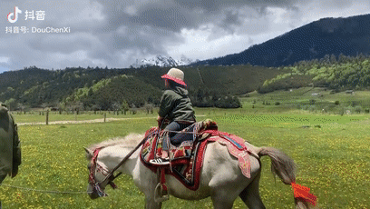 71 ngày, 4139 cây số, ông bố đơn thân đưa con gái 4 tuổi đi ngao du trên xe đạp-7