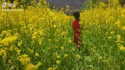 71 ngày, 4139 cây số, ông bố đơn thân đưa con gái 4 tuổi đi ngao du trên xe đạp-8