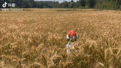 71 ngày, 4139 cây số, ông bố đơn thân đưa con gái 4 tuổi đi ngao du trên xe đạp-9