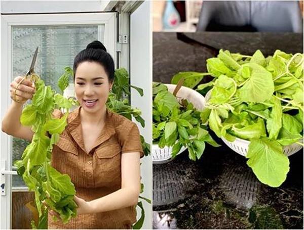 Ông xã trồng rau xum xuê, Trịnh Kim Chi thích thú ra tay làm bánh xèo đãi cả gia đình-2