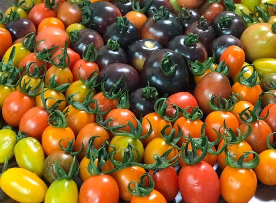 Ngắm khu vườn đủ loại rau quả rộng hơn 100m² trên mái nhà với 100 triệu đồng đầu tư thiết kế của gia đình ở Hà Nội-17