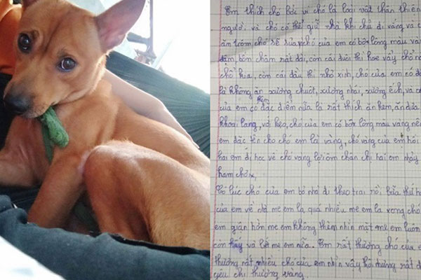 Học sinh lớp 1 điền thành ngữ đến cô giáo cũng không ngờ lầy đến thế, câu cuối còn được khen hay hơn cả bản gốc-8