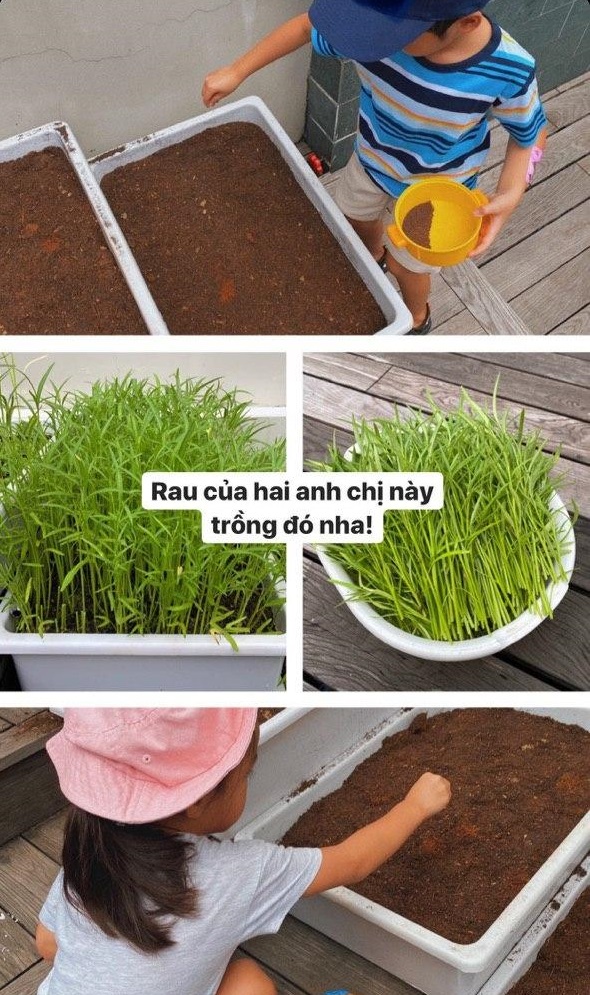 Sống trong nhung lụa nhưng Tăng Thanh Hà vẫn dạy các con làm vườn, thành quả mới thật sự khiến ai nấy tròn xoe mắt-3