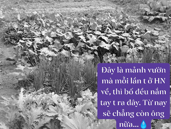 Tôi có một người bố điên, ai còn bố mẹ hãy biết yêu thương, đến lúc không còn nữa thì tìm cả một đời cũng chẳng thấy-2