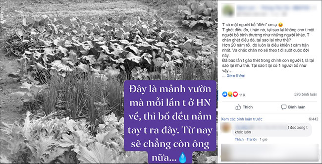 Tôi có một người bố điên, ai còn bố mẹ hãy biết yêu thương, đến lúc không còn nữa thì tìm cả một đời cũng chẳng thấy-1