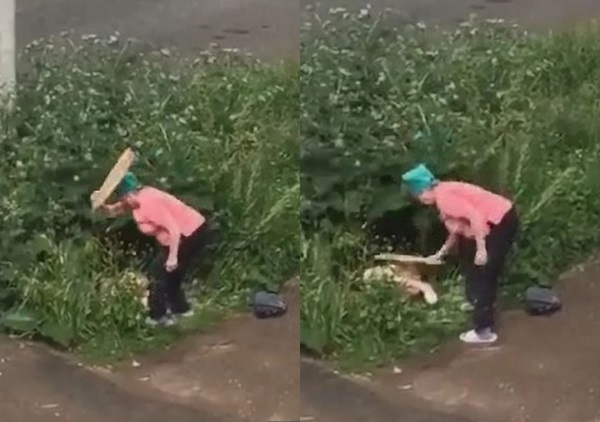 Bắt quả tang cặp đôi mây mưa trong bụi rậm, người phụ nữ dạy đôi trẻ bài học nhớ đời-1