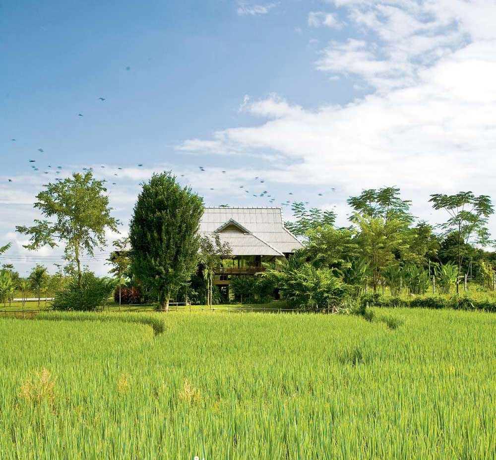 Nhà cấp 4 với thiết kế đẹp lãng mạn giữa cánh đồng lúa xanh tươi ở ngoại ô-1