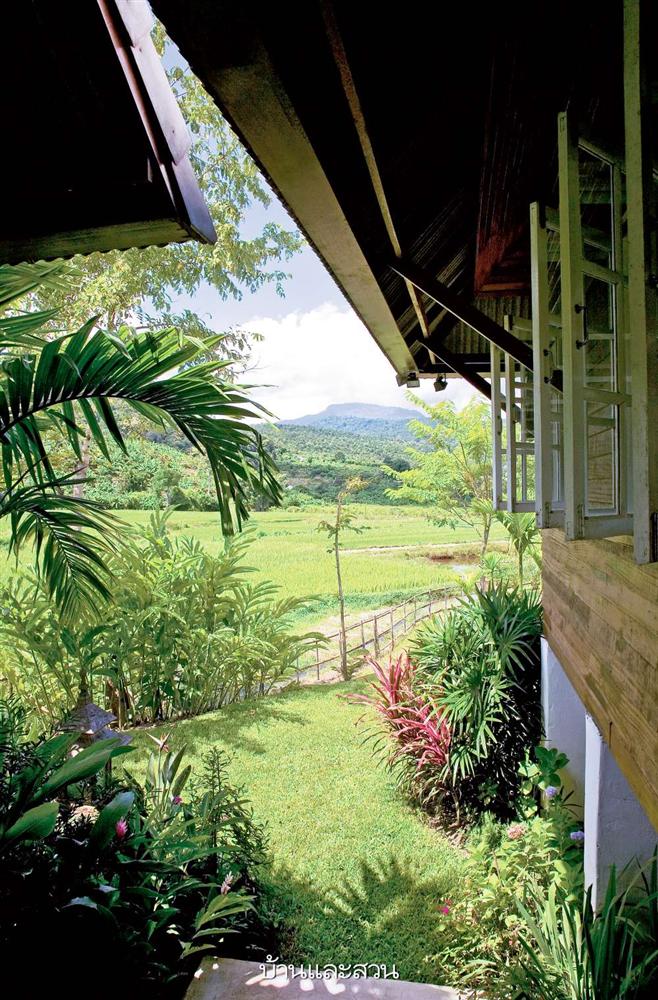 Nhà cấp 4 với thiết kế đẹp lãng mạn giữa cánh đồng lúa xanh tươi ở ngoại ô-2