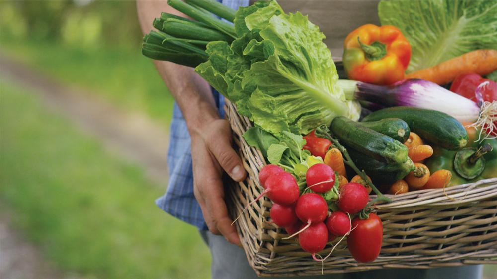 Hướng dẫn bà nội trợ cách chọn từ thịt tươi đến hải sản chuẩn chỉnh cho cả gia đình-1