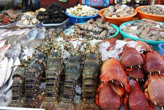 Hướng dẫn bà nội trợ cách chọn từ thịt tươi đến hải sản 