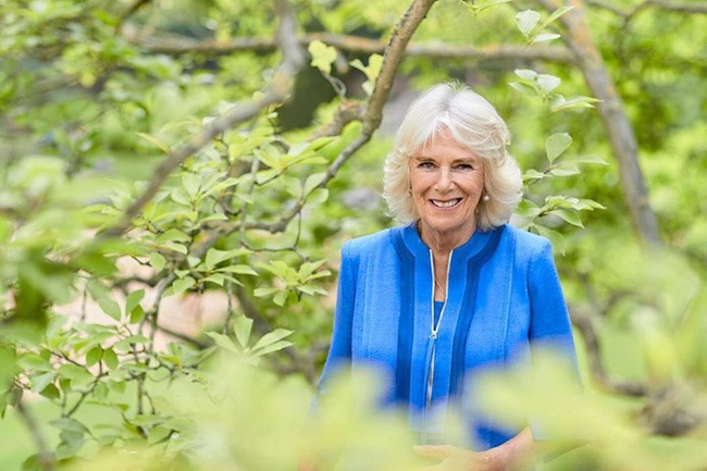 Meghan Markle lại bị chỉ trích khi vô duyên chiếm sóng đúng vào ngày sinh nhật của mẹ chồng-1