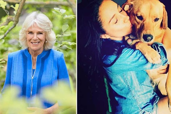 Meghan Markle lại bị chỉ trích khi vô duyên 
