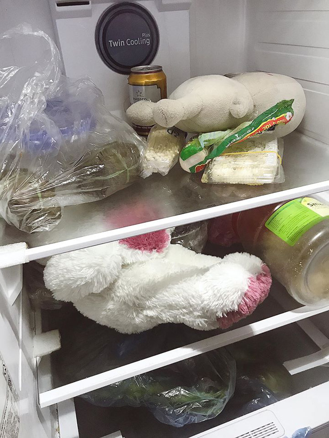 Thấy con bỏ một thứ vào tủ lạnh, mẹ trẻ lên mạng xin ý kiến, ai ngờ nhiều nhà cũng lâm vào cảnh tương tự-1