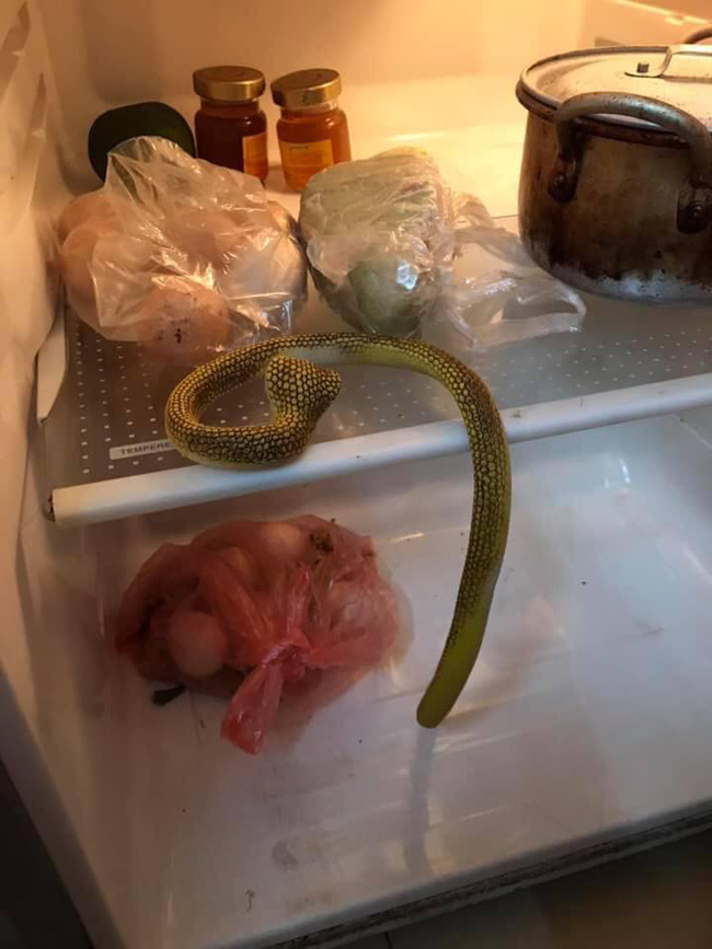 Thấy con bỏ một thứ vào tủ lạnh, mẹ trẻ lên mạng xin ý kiến, ai ngờ nhiều nhà cũng lâm vào cảnh tương tự-5