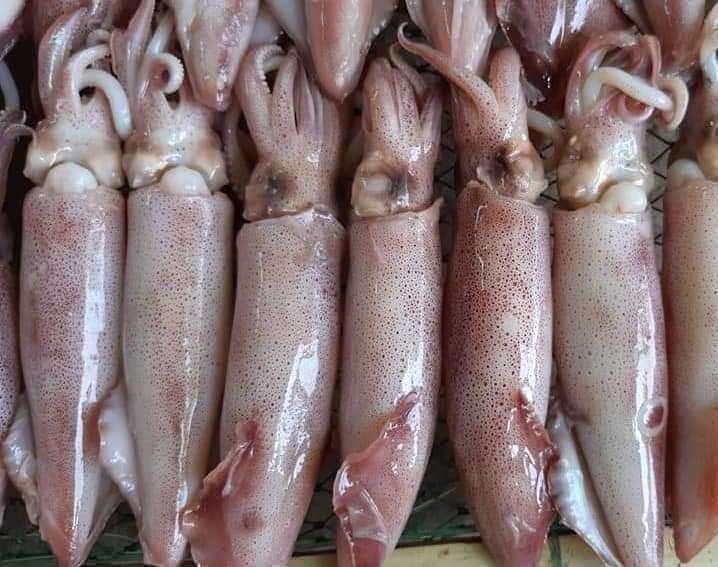 Cách làm mực chiên nước mắm giòn ngon bá cháy-1