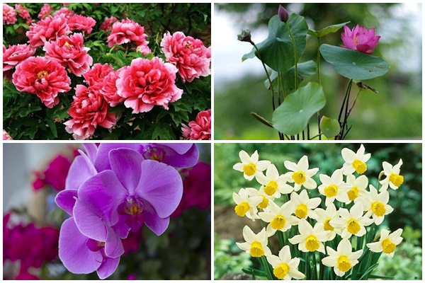 3 vị trí không được treo ảnh gia đình và cách khắc phục nếu bạn đang treo sai phong thủy-5