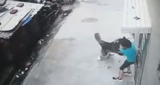 Đi học về rồi khiêu khích con chó, cậu bé bị tấn công trước sự bất lực của mọi người xung quanh, xem lại cảnh tượng ấy ai cũng xót xa-1