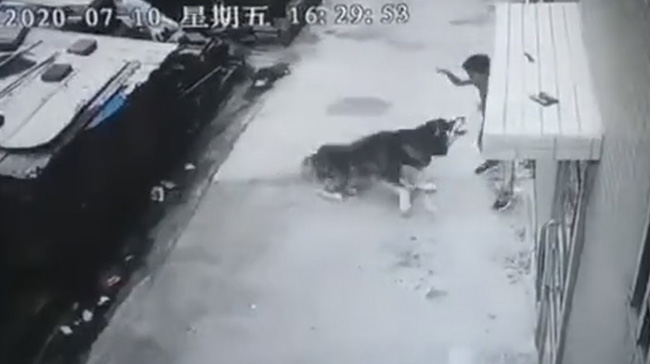 Đi học về rồi khiêu khích con chó, cậu bé bị tấn công trước sự bất lực của mọi người xung quanh, xem lại cảnh tượng ấy ai cũng xót xa-2