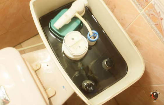 Ông xã cầm 2 chai bia vào nhà vệ sinh, tưởng làm điều gì mờ ám hóa ra lại giúp vợ tiết kiệm nước suốt cả mùa hè-2