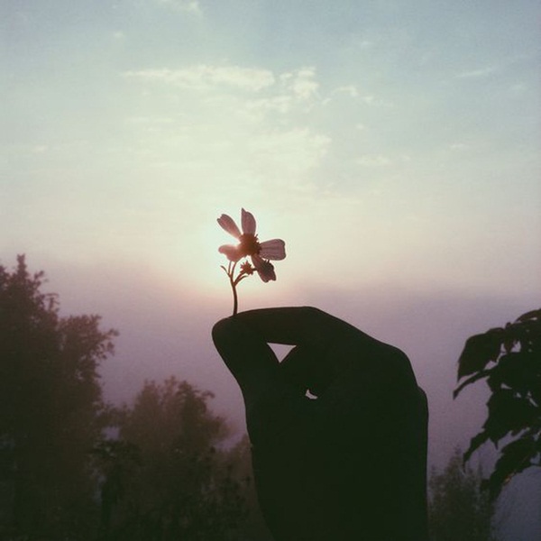 Tử vi tuần mới 12 con giáp từ ngày 20/7 đến 26/7/2020: Thìn tuần mới hanh thông, Tuất cẩn thận xe cộ-2