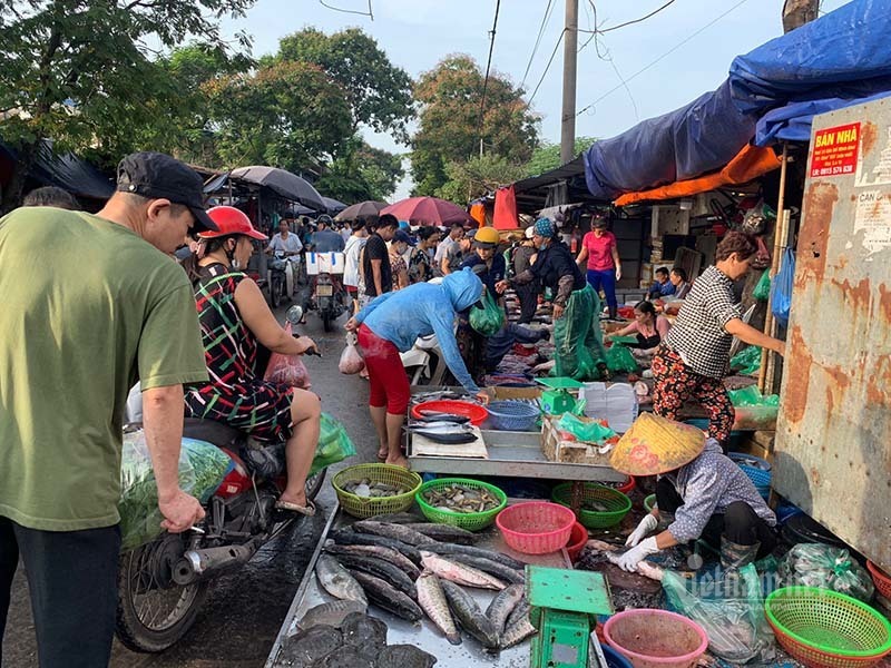 Cạn tiền bị tiểu thương chém giá đắt, dân dậy sớm đi chợ đầu mối-2